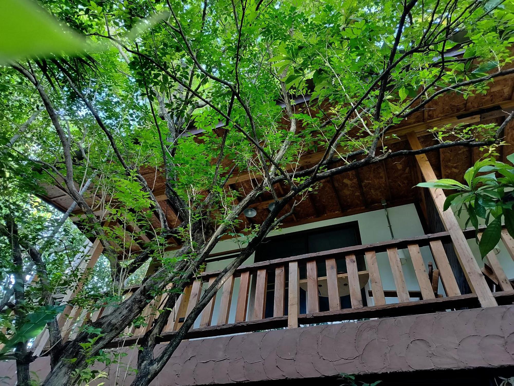 Oldy De Garden Aparthotel Csiangmaj Kültér fotó